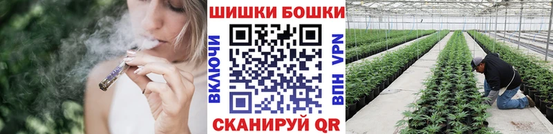 Купить наркотик аптеки Курчалой Кокаин Псилоцибиновые грибы Каннабис
