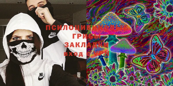 mdpv Дмитров