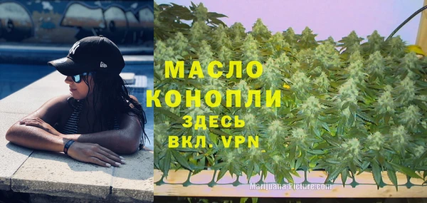 стафф Дмитриев