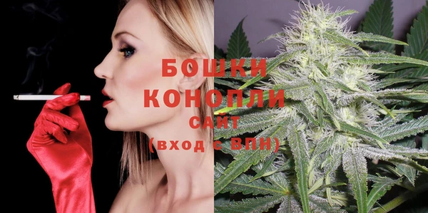 стафф Дмитриев
