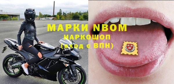 стафф Дмитриев