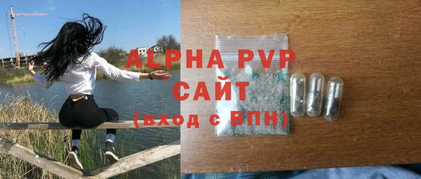 стафф Дмитриев