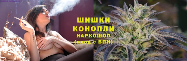 кокс Дмитровск