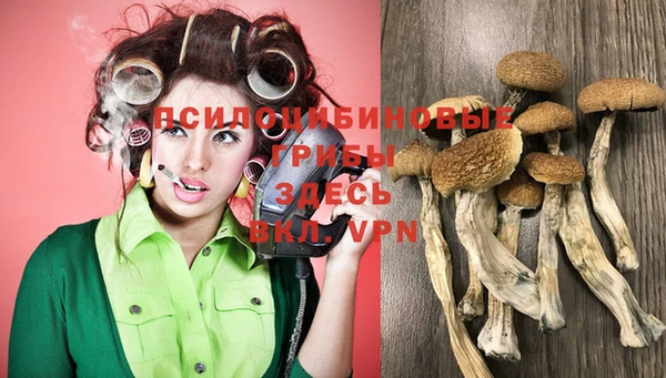 кокс Дмитровск