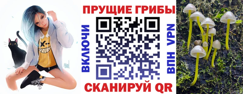 Галлюциногенные грибы ЛСД  Курчалой 